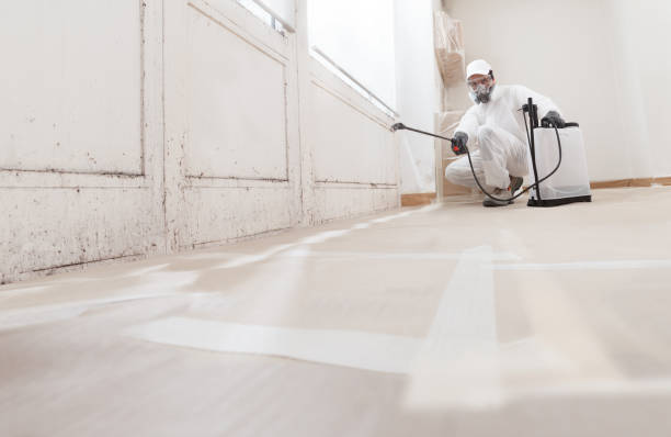 24/7 Emergency Black Mold Remediation experts in Lexington, MA