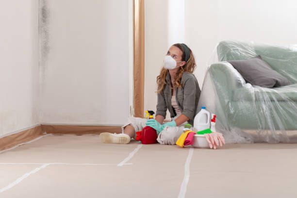Reliable Black Mold Remediation contractor in Lexington, MA by Car Mold Remediation